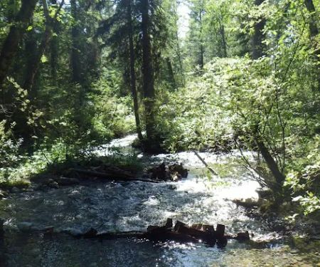 Soup Creek Campground