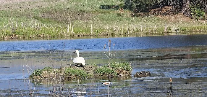 Willow Creek Campground Picture 7