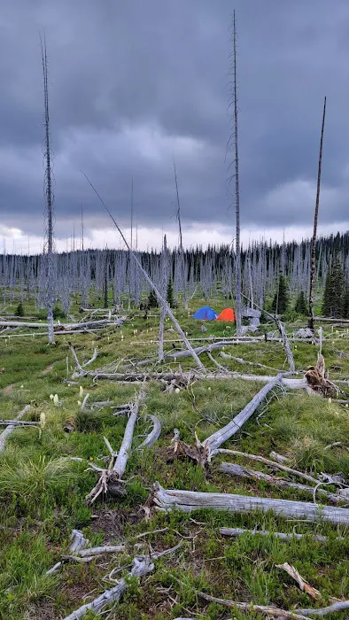 Flattop Campground Picture 5