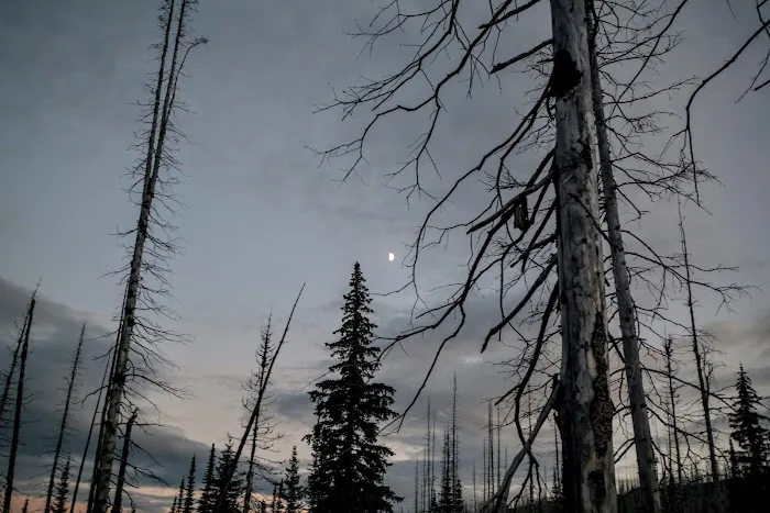 Flattop Campground Picture 3