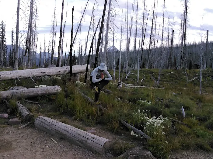 Flattop Campground Picture 2