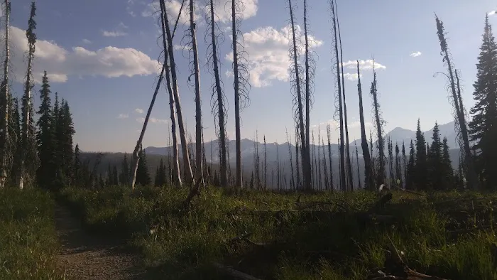 Fifty Mountain Campground Picture 3