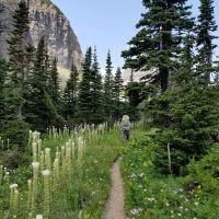 Stoney Indian Lake Campground ico