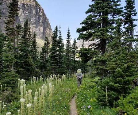 Stoney Indian Lake Campground