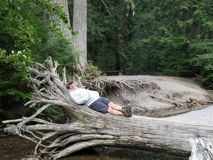 Avalanche Campground Picture 6