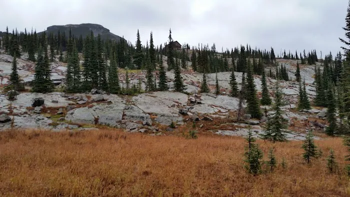 Granite Park Campground Picture 1