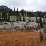 Granite Park Campground