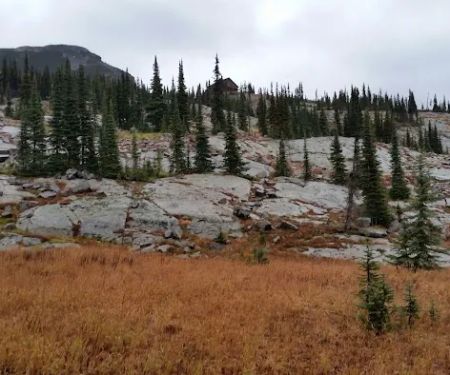Granite Park Campground