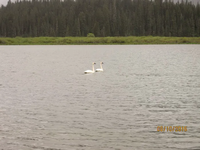 Kootenai Lake Campground Picture 8