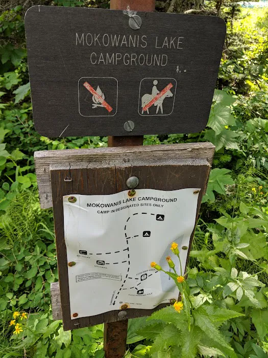 Mokowanis Lakes Campground Picture 8