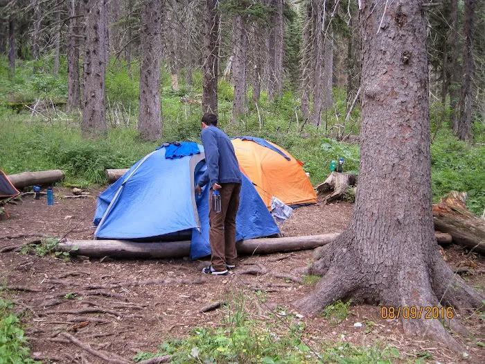 Mokowanis Junction Campground Picture 1