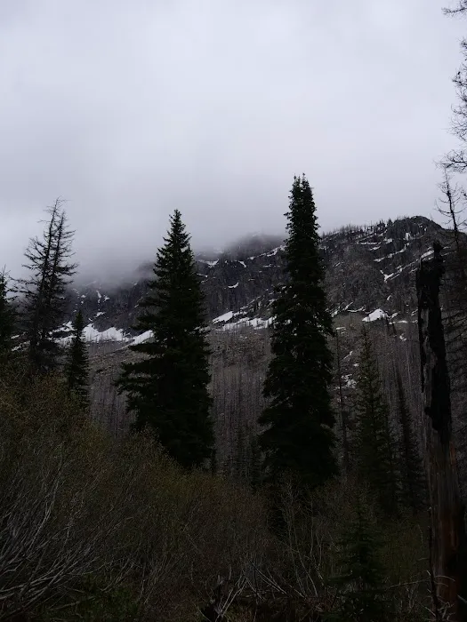 Snyder Lake Campground Picture 4