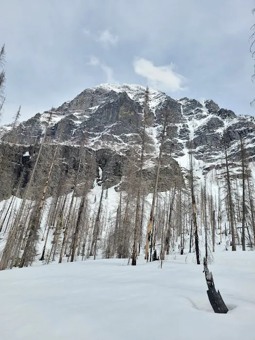 Snyder Lake Campground Picture 6