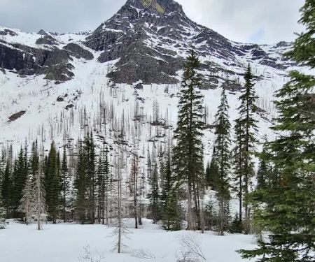 Snyder Lake Campground
