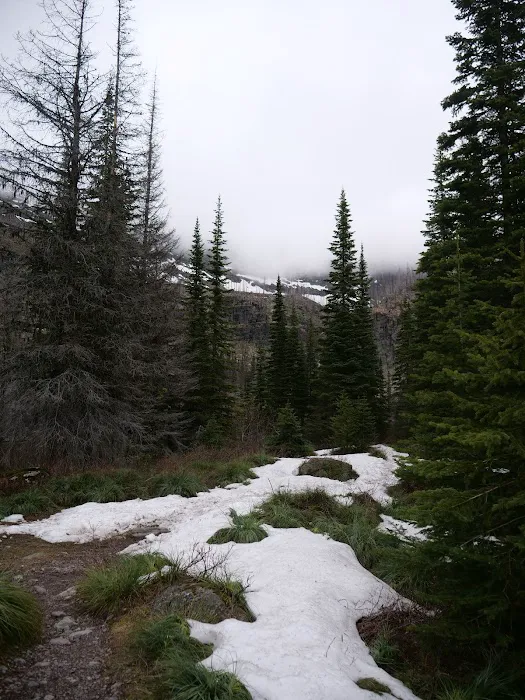 Snyder Lake Campground Picture 9