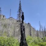 Lincoln Lake Campground
