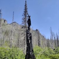 Lincoln Lake Campground ico