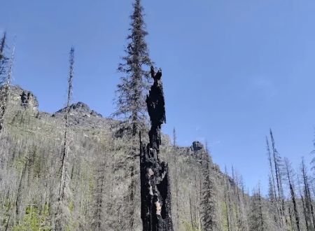 Lincoln Lake Campground