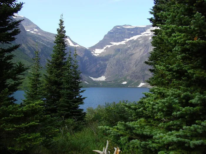 Gunsight Lake Campground Picture 1