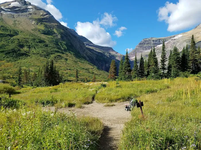 Gunsight Lake Campground Picture 9
