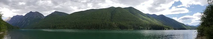 Harrison Lake Campground Picture 2