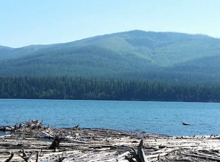 Peters Creek Campground