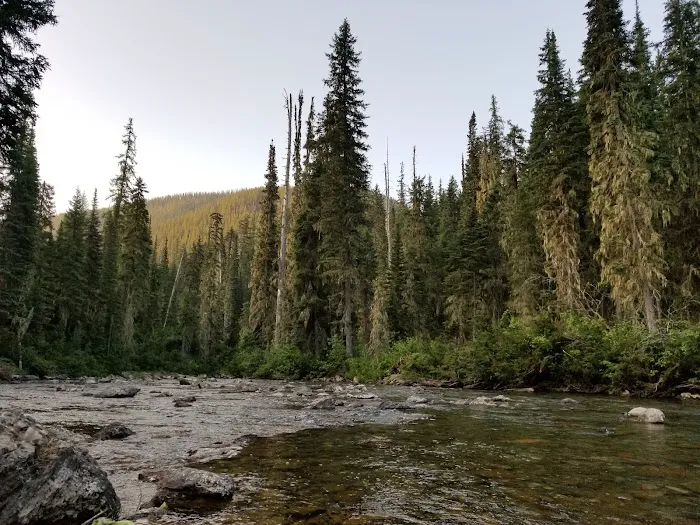 Peters Creek Campground Picture 4