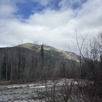 Park Creek Campground