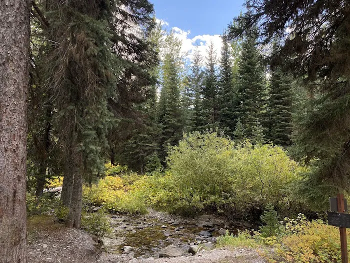 Park Creek Campground Picture 5