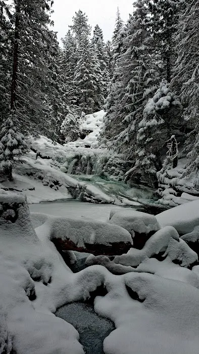 Mission Falls Campground Picture 2