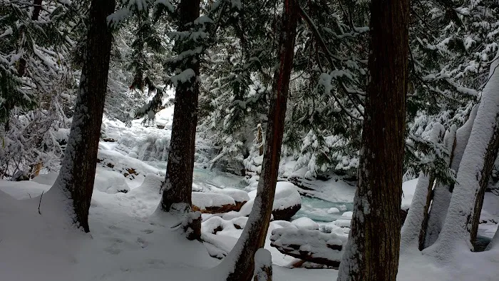 Mission Falls Campground Picture 1