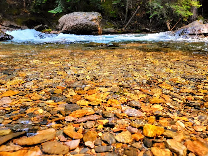 Mission Falls Campground Picture 5