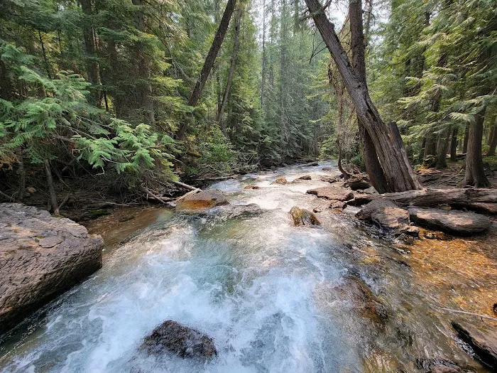 Mission Falls Campground Picture 4
