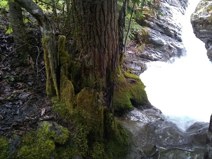 Mission Falls Campground Picture 9