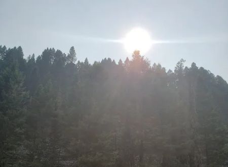 Gold Creek Campground