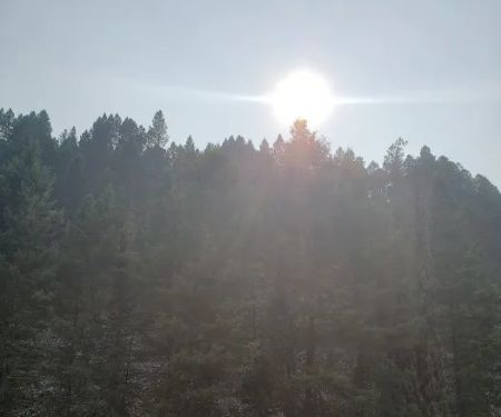 Gold Creek Campground