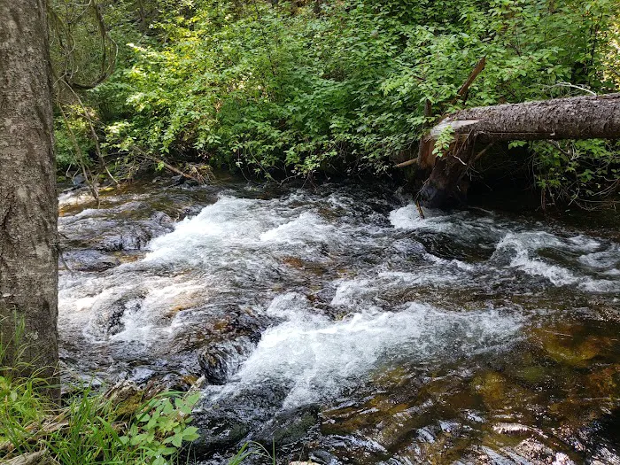 Gold Creek Campground Picture 4
