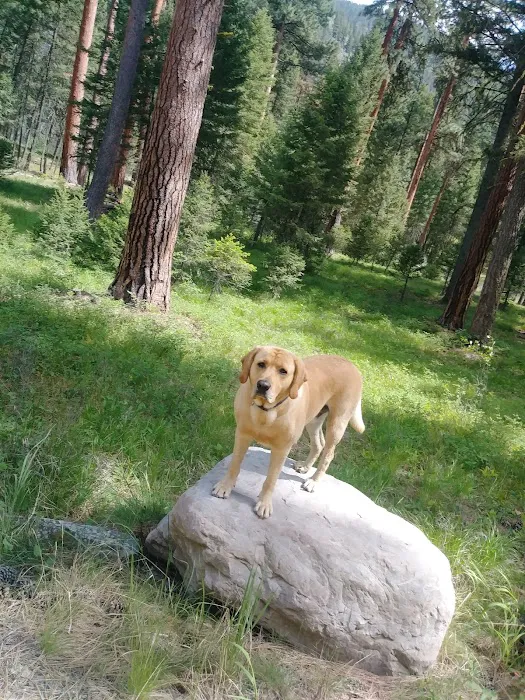 Harry's Flat Campground Picture 1