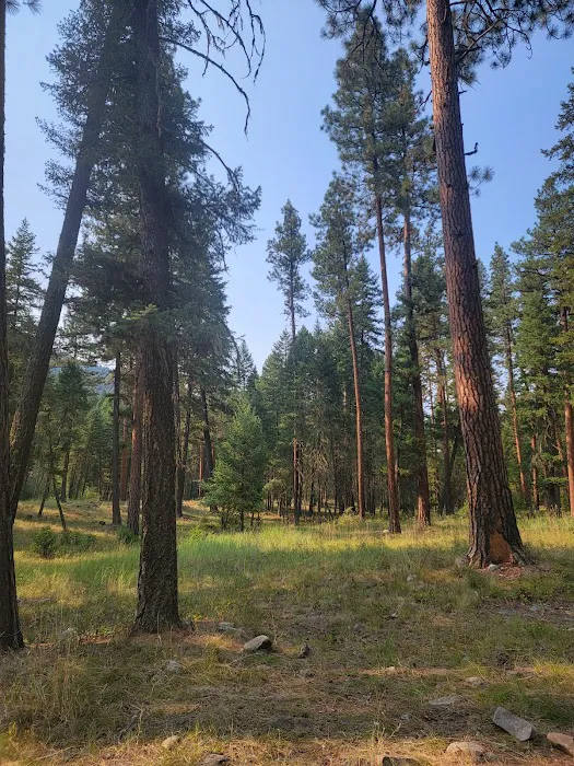 Harry's Flat Campground Picture 10