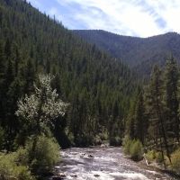 Bitterroot Flat Campground ico