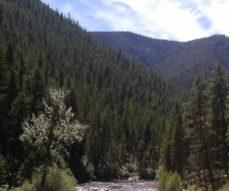 Bitterroot Flat Campground