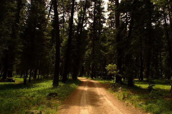 Bitterroot Flat Campground Picture 8