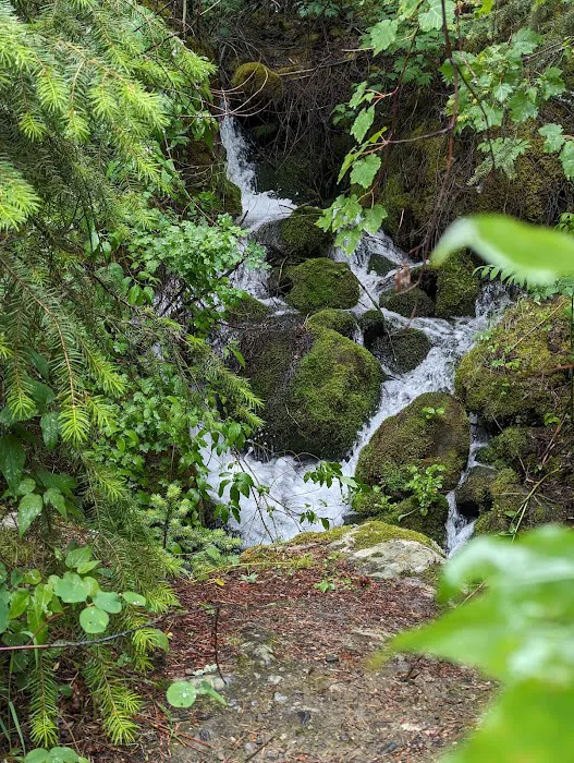 Dalles Campground Picture 1