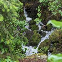 Dalles Campground ico