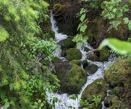 Dalles Campground