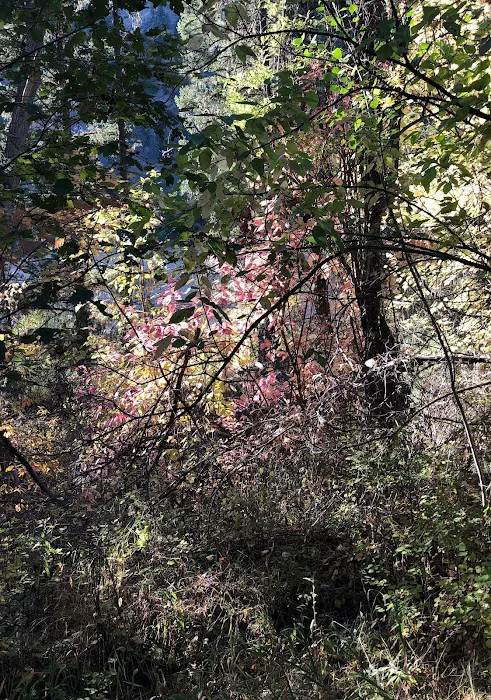 Norton Campground Picture 3