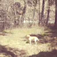 Norton Campground ico