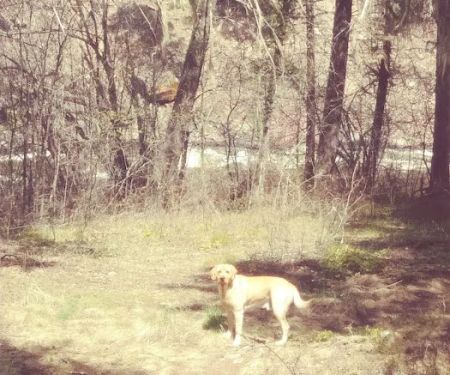 Norton Campground
