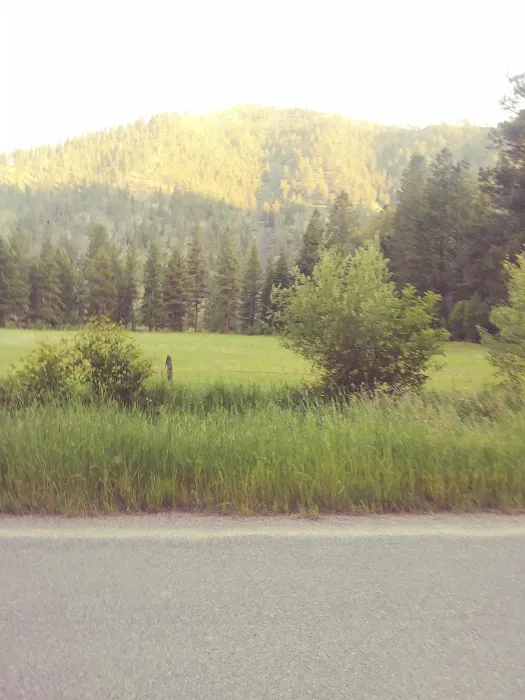 Norton Campground Picture 6