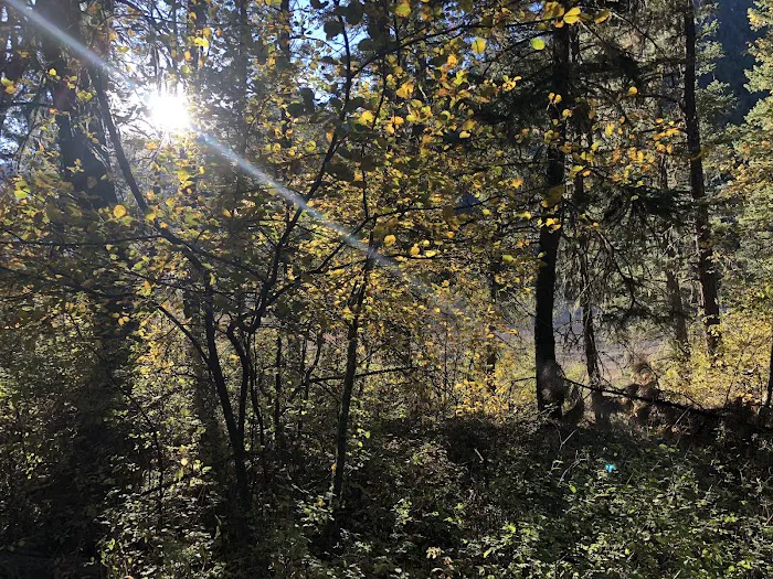 Norton Campground Picture 10